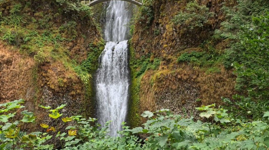 Wahkeena Falls, Oregon, USA
